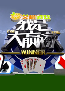 我是大赢家2012