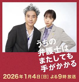 我家的律师又惹麻烦了