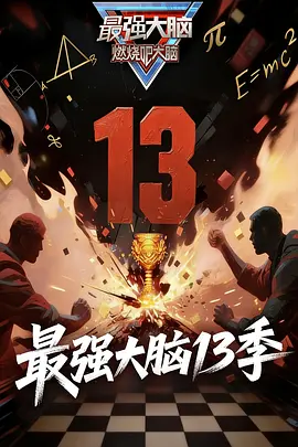 最强大脑第13季