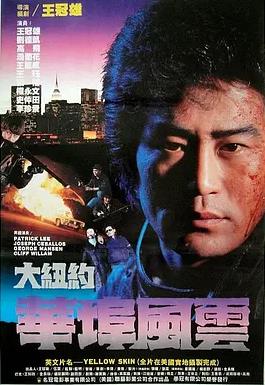 大纽约华埠风云