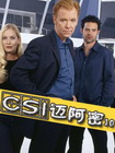 CSI：迈阿密篇[第十季]
