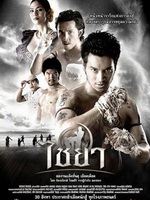 泰南拳