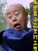 毛驴县令之歪打正着