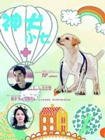 神犬小七
