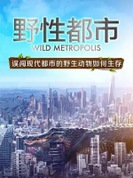 野性都市[纪录片]