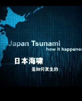 日本海啸是如何发生的