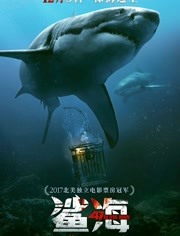 鲨海